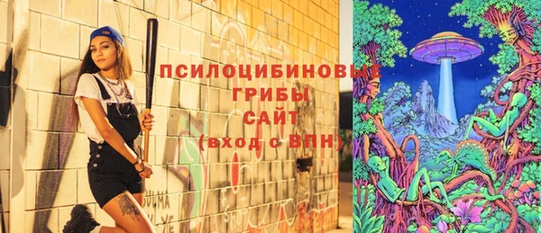герыч Няндома