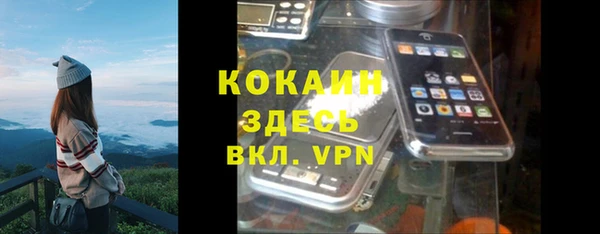 индика Новозыбков