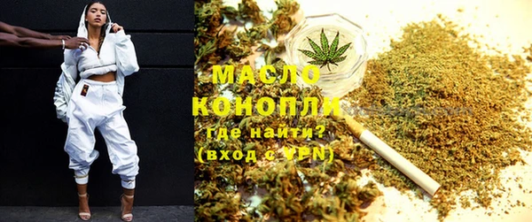 индика Новозыбков