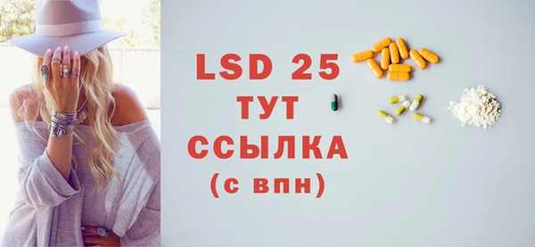 стафф Новодвинск