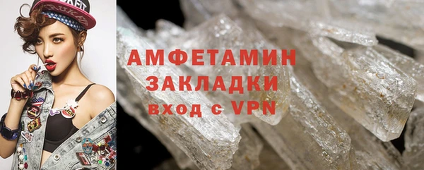 стаф Заполярный