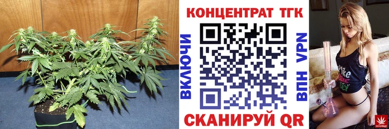 Дистиллят ТГК вейп  мега зеркало  Лодейное Поле  как найти закладки 